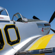 Illustration for article titled Mustang
